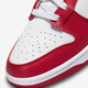 NIKE耐克Dunk Low Retro白红 男款 低帮轻便休闲板鞋 DD1391-602 41