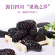 Gongyuan's special grade large fruit dried mulberries 500g selected Panzhihua sand-free wolfberry longan chrysanthemum tea health tea