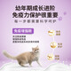 PRO PLAN pet cat food, pregnant and breastfeeding cats and kittens, colostrum formula, 7kg