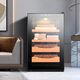 CIGARLOONG 65C cigar cabinet, temperature controlled, moisturizing, energy-saving, silent, electronic dual-core dual-core refrigeration, smart small household, pure-cured cedar wood, bare-cured cigar, red wine and tea cabinet, cedar wood black model 70L