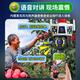 镭威视4g监控无线摄像头无需网络免wifi终身免流量室内室外农村监控器家用360度无死角全彩夜视全景 【4G三画面版】免充值0费用+64G卡