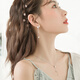 Crystal butterfly tassel ear wire girlfriend silver earrings 2025 new high-end earrings long birthday gift