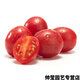 Chunzhiyun Cherry Tomato Seeds Cherry Tomato Seeds Small Tomatoes Good Taste and High Yield Four Seasons Vegetables - Pink Crystal Red 666 Tomatoes 20 Packs