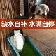 Nuevo bebedero automático para pollos, patos, gansos y aves de corral de Xushansi, alimentador de agua, tanque de agua potable para patos, equipos y suministros para la cría de ganado vacuno y ovino, entrada de agua lateral de 4 minutos (20 mm) de tercera generación