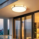 High-quality entrance ceiling lights, hallway lights, house lights, eaves, balcony, outdoor balcony lights, outdoor waterproof doors, 6626-40 cm - three-color light-36W