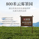 Legendario té de té oolong tieguanyin fragancia fuerte especial 500g caja de regalo mediana té té gran regalo regalo