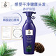 Ryo (Ryo) Men's Oil Control Anti-dandruff Conditioner Soothing Scalp Hair Care 400ml