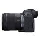 Canon EOS R6 Mark II R6 second generation new standard full-frame mirrorless camera R62 24-105 STM standard lens set