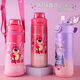 Disney Children’s Thermos Cup für Grundschüler, um zur Schule 316 Direkttrinkbecher mit Strohdoppeltrinkdämmung mit Skala 6187f Lila Aisha Thermos Cup 500 ml zu gehen