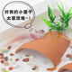 Han Chang hexagonal dinosaur fish shelter decorated fish tank landscaping turtle breeding axolotl pet fish ornamental ornaments small pineapple house