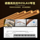 Xinghai Bachdorf piano piano imported from Germany new 88 key vertical piano BU-118