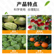 Guoguang Chloropyramide Biuret is an excellent fruit-setting medicine for watermelon, kiwi and grapes to increase the production of large fruit expansion agent and regulator 100ml*10 bottles