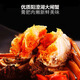[Certificat-cadeau] CHENGHU COEUR YANGCHENGHU CRABLE HEIRY CRAB CERTIFICAT 3888 TYPE CRABLE MALLE 5.5 Two Female Crab 4 Two Five Pairs 5 Paires