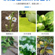 Ferrous sulfate flower acidic acid fertilizer for flowers jasmine fruit trees ferrous sulfate agricultural gardenia phosphoric acid 50Jin Jin equal to 0.5kg bag