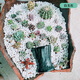 Hua Linglong, general-purpose succulent green plant paving stone, breathable, large pack of five decorative pure granular soil, 2 liters of ceramsite, about 600 grams