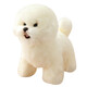 Yilefang Plüsch Spielzeughund Bichon Hund Rag Puppe süße Hund Puppe Mädchen Ornament Dekoration Ragdoll Hund aus weißer Länge 35 cm, Höhe 28 cm
