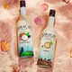 Tandun Coconut Aroma Rum Rum Coconut Grove Aroma Cocktail-Basis Wein leicht berauschtes niedrigem Great-Alkohol Philippinen importierte ausländische Alkohol Kaffeegeschmack Rum 750 ml 1 Flasche 25%Volo
