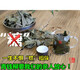 Yourrentang Green Money Willow Tea Centennial Tree Green Money Willow Health Tea Makes The Leaf Tea Gold Money Willow 170g