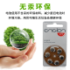 峰力（PHONAK）助听器专用电池e312/675进口纽扣电子用品通用耳蜗配件洗耳器 银卡A312【一盒60颗】