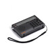 
Hanrongda 757 new aviation band radio DSP chip supports APP remote remote control digital channel selection and recording support memory card with flashlight elderly radio green backlight