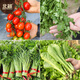 Beishu various vegetable seeds lettuce spinach coriander chives celery balcony four seasons rapeseed 12 kinds of vegetable seeds
