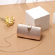 Cool kangaroo handbag women's small bag dinner dress 2025 fashion handheld socialite bag with cheongsam bag temperament banquet clutch silver