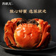 Live crabs Su Zhuangyuan fresh hairy crabs in stock all male crabs 5.0-5.3 taels 8 fresh crabs with ropes and heavy seafood gift boxes sent directly from the source
