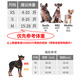 Puppytie dog outing leash vest type dog walking leash pet supplies dog rope adjustment small dog harness Teddy Banana Yellow - Harness + Traction Rope M-Medium Recommended 15-28Jin Jin equals 0.5 kg