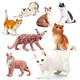 
Oenux simulated cat model toy ornaments for children's solid animal set yellow cat bobtail cat black and white big cat gift M-290+719+718 (3 cat sets)