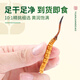源江草冬虫夏草 新干虫草滋补品送父母长辈滋高端礼盒 3根/g 20克【滋补量装】