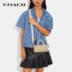 CoaCH (COACH) women's bag LACEY series classic presbyopia tassel bag pen holder bag fashion temperament crossbody bag CK689 khaki IMDQC
