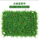 Huawoli simulated lawn (encrypted eucalyptus 40*60) plant wall green plant wall fake lawn turf background wall decoration