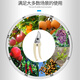 剪树枝专用剪刀园林园艺修枝剪不锈钢修剪树枝果树剪刀家用花艺剪 SK501白修枝剪14116不锈钢橙摘果
