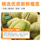 Thaihaochue thai délicieux officiel thai durian bonbon thaï or golloal doré gummies de bonbon durian