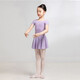 Sansha ballet children's jumpsuit with skirt, girls' short-sleeved practice clothes, dance examination clothes Y3554 pink M