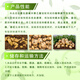 Yinghui Ligenwei 21% Choline Chloride Naphthalene Acetic Acid Underground Swelling Regulator Potato Root Swelling Special Pesticide 1000g (10 bottles in the box)