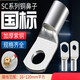 Yuduo National Standard A-Grade Dicked Cold Pressing Peeping Nase SC2,5/4/6/10/358 Quadratische Kupferdrahtnase SC12014 (10 Stück