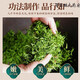 
Renhe Pharmaceutical [Directly sold in pharmacy] Renhe Pharmaceutical Renhe Qingqianliu Tea Non-wild Tender Sprout Leaf Tea Precipitation Pressure Low Fat Low Five Box Consolidation Pack
