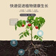 Compound Fertilizer 18-18-18 Compound Fertilizer Vegetables and Fruits in Popcorn 25kg 50Jin Jin is equal to 0.5kg / original packaging 5kg per bag Original packaging 5kg per bag