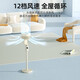 Westinghouse air circulation fan household electric fan large air volume floor fan silent low-noise electric fan stand dual-purpose fan negative ion purification ventilation fan dormitory bedroom living room exhaust fan off-white upgraded model voice control + 12H timing + 3D shaking head air supply