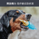 HUNTER [Teething Rubber Toy] Germany imported bite-resistant safety rubber toy environmentally friendly decompression teething anti-toy latex sausage