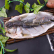 Sandu Port Frozen Sanlu Sea Bass 1Jin Jin is equal to 0.5kg 1 piece (free package) Deep sea fish Fresh fish Seafood New Year's goods