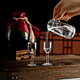 Katav white wine glass dispenser set lead-free crystal glass with graduated wine glass bullet cup Maotai cup spirit glass 10 pots 100ml + 10 goblets 15ml