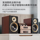 山水（SANSUI） M2胆机CD/DVD组合音响桌面音响电子管功放发烧蓝牙HIFI高品质无损音箱 山水M2 HiFi碟机胆机套餐+木架