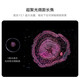 HUAWEI Pura 70 Pro+ 弦乐白 16GB+512GB   双卫星通信 华为P70智能手机