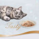 Galatz Thailand imported silver spoon additive-free soup bag soft package into cat snacks canned wet food tuna [Galaxy Wonderful Fresh Packet] tuna + small whitebait 16 packs [If you mind not taking pictures during the period, please contact customer service for details]