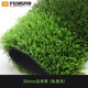 Co-Create Lawn Football Field Turf Artificial School Playground Club Professional New National Standard Kindergarten Simulated Fake Turf 30mm Football Grass (No Filling)