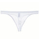 Men's Nude Transparent T-Pants Thin Mesh Sexy Temptation Breathable Men's Youth T-Pants Sexy Underwear White M