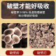 Aodong Breaking Wall Ganoderma Lucidum Spore Powder Regalo Box 2G*60 Bolsas Inmunidad mejorada y brindan productos de salud para ancianos Dragon Boat Festival Gift