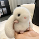 Draco Mink Plush lindo Internet Celebrity Rabbit colgante Decoración de colegas femeninas muñeca para muñecas llavero con llavero